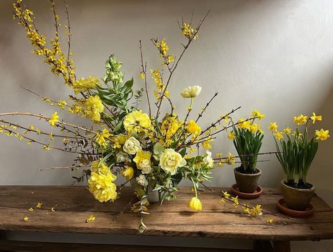 Fox Fodder Farm - daffodils & forsythia Forsythia Bouquet, Forsythia Arrangement, Fox Fodder Farm, Flowering Branches, Spring Arrangements, Spring Blossoms, Arrangement Ideas, Flower Branch, Community Gardening