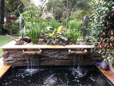 Best 25+ Above ground pond ideas on Pinterest | Pond ideas, Small ... Bog Filter, Above Ground Pond, Raised Pond, Pond Kits, Bog Garden, Outdoor Ponds, Koi Ponds, Diy Pond, Small Pond