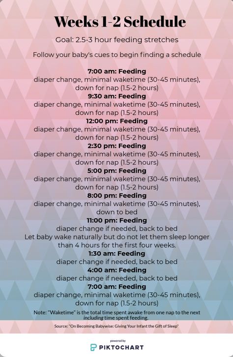 Baby Chart, Baby Trivia, Newborn Sleep Schedule, Newborn Schedule, Baby Routine, Baby Feeding Schedule, Week Schedule, Newborn Feeding, Baby Information