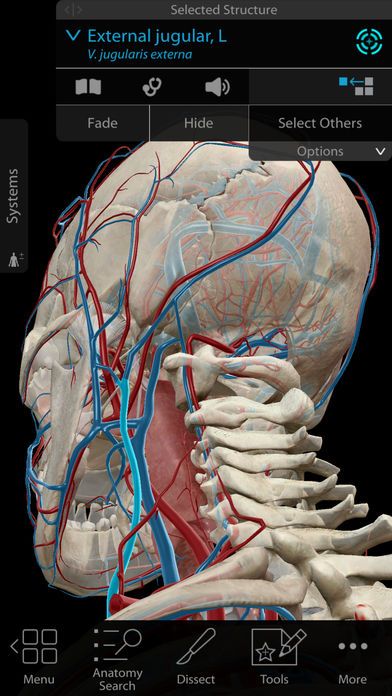 Visible Body, producer of human anatomy apps, has added augmented reality functionality to its Human Anatomy Atlas app. Anatomy Apps, Human Anatomy Picture, Anatomy App, Strength Training Anatomy, 3d Anatomy, Medical App, Gross Anatomy, Face Anatomy, Anatomy Models