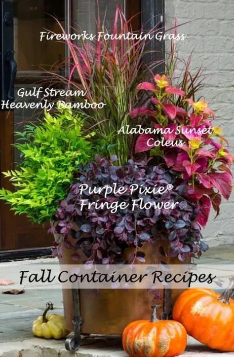 Container Recipes, Fall Flower Pots, Fall Pots, Fall Landscaping, Fall Container Gardens, Fall Containers, Fall Planters, Starting A Garden, Garden Containers