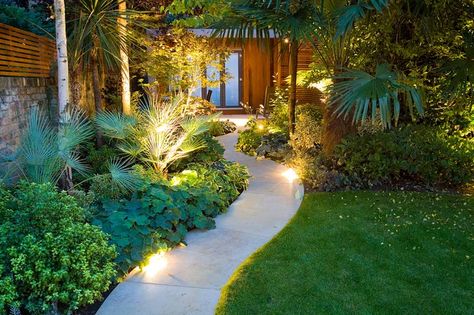 10 Tips for Creating a Tropical Garden in a UK Climate Small Tropical Garden Ideas Uk, Garden Dividers, Garden Ideas Uk, Small Tropical Gardens, Outdoor Lighting Design, Narrow Garden, Lady Lake, Tropical Garden Design, Asian Garden