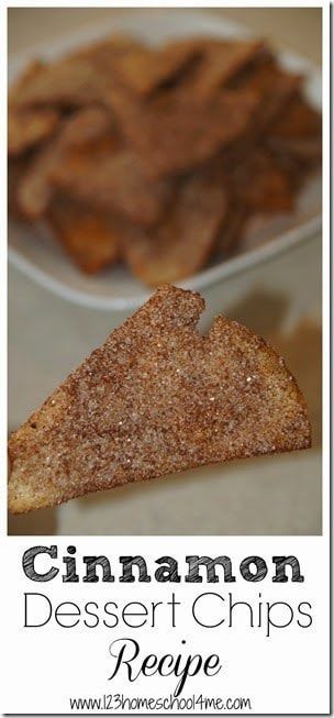 Cinnamon Sugar Tortilla Chips, Cinnamon Sugar Tortilla, Pastina Recipes, Tortilla Chips Recipe, Cinnamon Sugar Tortillas, Cinnamon Desserts, Tortilla Chip Recipe, Coconut Dessert, Nutribullet Recipes