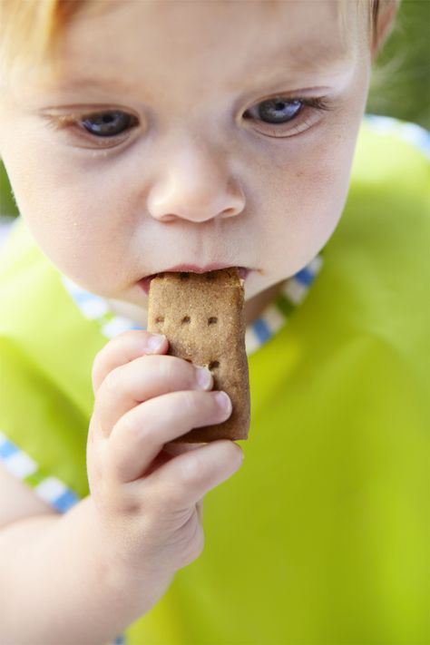 THE Teething Cookie from weelicious.com Cookies For Babies, Teething Cookies, Teething Biscuits, Weaning Foods, Baby Led Weaning Recipes, Peanut Butter Roll, Weaning Recipes, Picky Eating, Pregnancy Cravings