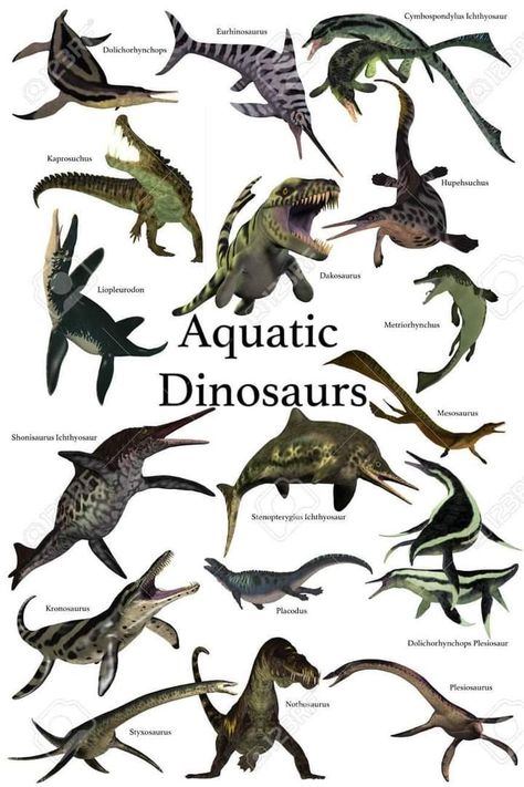 Dinosaurs Poster, Sea Dinosaurs, Prehistoric Period, Prehistoric Animals Dinosaurs, Feathered Dinosaurs, Dinosaur Facts, Prehistoric Wildlife, Dinosaur Posters, Prehistoric World