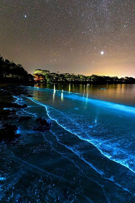 Glowing Beaches, Bioluminescent Algae, Moana Aesthetic, Night Landscape Photography, Sea Of Stars, Beautiful Wallpapers For Iphone, Adventure Travel Explore, Night Scenery, Night Landscape