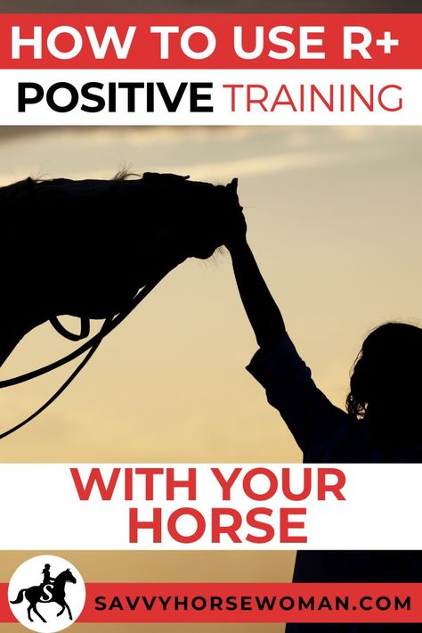 Positive training techniques for your horse to improve response and general training progress. Here are our tips for including positive reinforcement in your daily training routine. Horse Training Ground Work, Horse Training Exercises, Horse Behavior, Horseback Riding Tips, Horse Care Tips, Equine Therapy, Horse Riding Tips, Training Routine, Horse Ideas