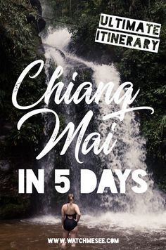 Chiang Mai is one of those must see places in Thailand, but how much time should you spend here? Find out in this Chiang Mai itinerary for 5 days! Places In Thailand, Thailand Travel Destinations, Thailand Honeymoon, Thailand Itinerary, Itinerary Ideas, Thailand Vacation, Thailand Adventure, Thailand Trip, Thailand Backpacking