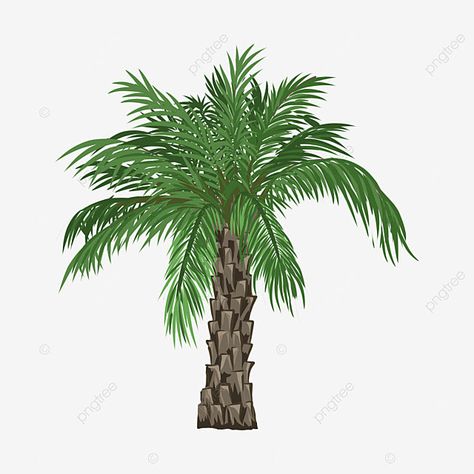 Palm Hand Drawing, Tree Vector Png, Date Palm Tree, Palm Background, Date Plant, Dates Tree, Palm Tree Png, Palm Tree Drawing, Nature Logo