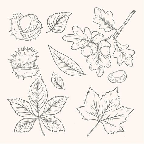 Autumn Line Drawing, Fall Leaf Line Art, Autumn Leaf Illustration, Leaves Drawing Sketches, Autumn Flowers Drawing, Fall Leaf Drawing, Autumn Leaves Drawing, Autumn Tattoos, Autumn Sketches