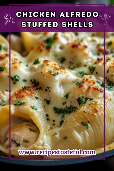 Delight in the creamy, cheesy goodness of Chicken Alfredo Stuffed Shells, featuring tender jumbo pasta filled with a savory chicken and cheese mixture, all smothered in a rich homemade Alfredo sauce. Perfect for family dinners or special occasions! Chicken Alfredo Dinner, Jumbo Shell Recipes, Alfredo Stuffed Shells, Chicken Alfredo Stuffed Shells, Chicken Stuffed Shells, Shell Pasta Recipes, Cheesy Chicken Pasta, Comfort Food Chicken, Chicken And Cheese