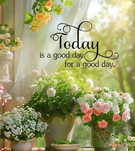 Good Morning Family And Friends, Good Morning Family, Beautiful Blessed Day, Funny Good Morning Wishes, Family Blessings, Labor Day Quotes, Morning Family, The Joy Of The Lord, Hugs And Kisses Quotes