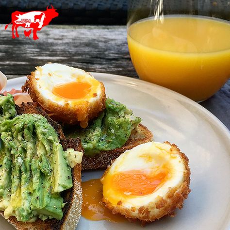 Lunch With Eggs, Recipes With Meat, Fried Egg Recipe, Deep Fried Egg, Dippy Eggs, Recipe Lunch, Avocado Toast Egg, Family Brunch, Egg Recipe