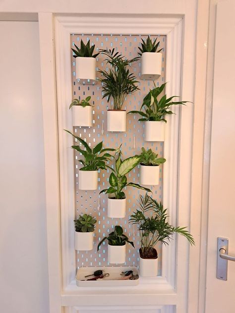 Skadis Plant, Skådis Ikea, Ikea Plants, Ikea Skadis, Organizational Hacks, Plant Window, Plant Hacks, Apartment Renovation, Almost Ready