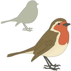 Robin Outline, Robin Template, Robin Silhouette, Robin Applique, Bird Pictures Art, Robin Drawing, Bird Applique, Silhouette Online Store, Different Birds