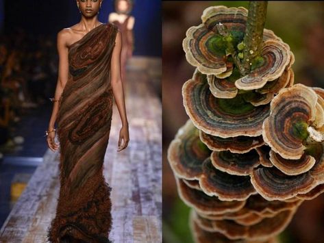 Mushroom Inspired Fashion, Inspired Fashion, Textile Art, Asparagus, Runway Fashion, Nature Inspiration, Stuffed Mushrooms, Art Design, Style Inspiration