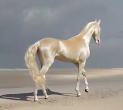 platinum horse Ahal Teke, Rare Horse Breeds, Rare Horses, Akhal Teke Horses, Golden Horse, Beautiful Horse Pictures, Horse Videos, Akhal Teke, Artsy Pictures