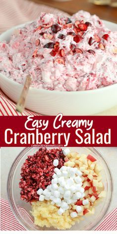 Marshmallow Cranberry Salad, Cranberry Fluff Salad Southern Living, Whip Cream Salad Recipes, Cranberry Whipped Cream Salad, Cranberry Salad With Marshmallows, Cranberry Cool Whip Salad, Creamy Cranberry Salad, Side Dishes With Fruit, Cranberry Side Dish Recipes