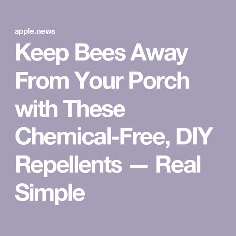 Keep Bees Away From Your Porch with These Chemical-Free, DIY Repellents — Real Simple How To Keep Bees, Bee Repellent, Japanese Beetles, Real Simple, Bee Keeping, Chemical Free, Pest Control, In The Garden, Repellent