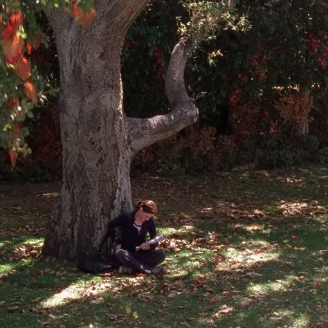 rory gilmore sitting in a tree reading Fall Aesthetic Pictures, Timothy Green, Studera Motivation, Gilmore Girls Aesthetic, Fall Mood Board, Mazzy Star, Gilmore Girl, Fall Semester, Stars Hollow