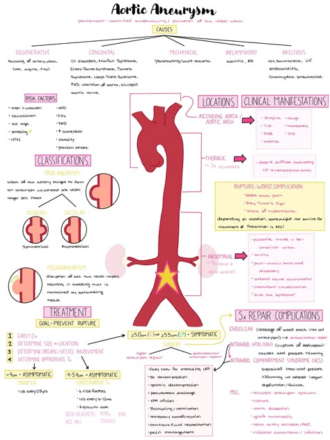 Aortic Aneurysm Nursing Notes | NCLEX Notes | Pathophysiology Notes | Nursing Study Guide | Critical Care Bundle  AORTIC ANEURYSM MADE EASY FOR NURSING STUDENTS! These are handmade notes constructed by myself, a visual learner, to help me understand aortic aneurysms during nursing school. This is a 2 page note collection explaining the following topics: -What is an aortic aneurysm? -Causes & Risk Factors -Classifications: true, fusiform, saccular, pseudoaneurysm -Locations where aneurysms can oc Types Of Aneurysms, Atelectasis Nursing, Medical Surgical Nursing Notes, Pathophysiology Notes, Nursing Notes Aesthetic, Pathophysiology Nursing, Nursing Instructor, Nursing Study Guide, Nursing School Essential