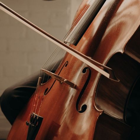 Book your cellist now to experience the rich sound, expressive range, and warm resonance of a solo cello performance at your wedding! Let the beautiful melodies flow to celebrate your day. 🎻🎶🥰 📸 Move Mountains Co. 💐 @youngdesignsllc 🎻 @zanberry90 Congratulations to @hillaryc824 & @tyler_hendrick7 #SweetHarmonyLiveMusic #music #musicians #cello #solocello #weddingmusic #livemusic #weddingideas #weddinginspiration #weddingmusicentertainment #weddingmusicians #weddingmusicideas #brideto... Cello Performance, Cello Aesthetic, Cello Instrument, Wedding Musicians, Wedding Music, Move Mountains, Live Music, Orchestra, Favorite Things