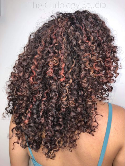 Curly Dark Brown Hair With Red Highlights, Dark Brown And Red Curly Hair, Maroon Highlights On Dark Hair Curly, Red Ends On Brown Hair Curly, Dark Red Highlights In Brown Hair Curly, Copper Red Highlights Curly Hair, Curly Inspiration, Afro Boricua, Red Highlights In Brown Hair