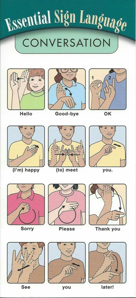 Tali Leher Lelaki, Simple Sign Language, Asl Sign Language Words, Sign Language Chart, Sign Language Phrases, Bahasa Jepun, Materi Bahasa Jepang, Asl Learning, Sign Language Words