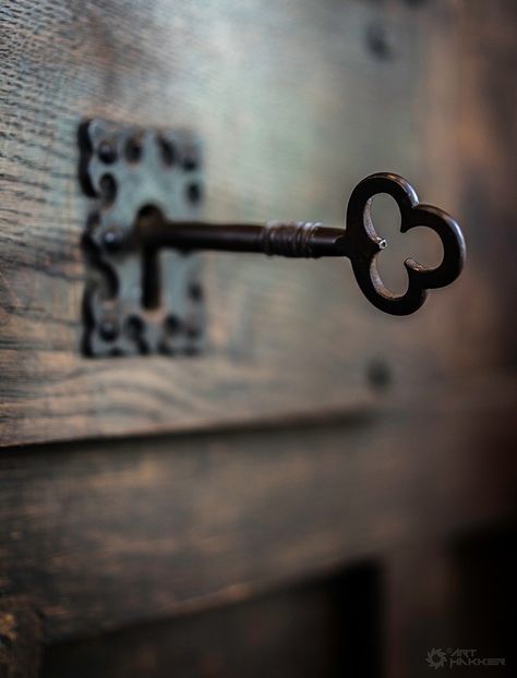 Cruel Beauty, Under Lock And Key, Ivy House, Old Key, Old Keys, Antique Keys, Locks & Key, Key To My Heart, Vintage Keys