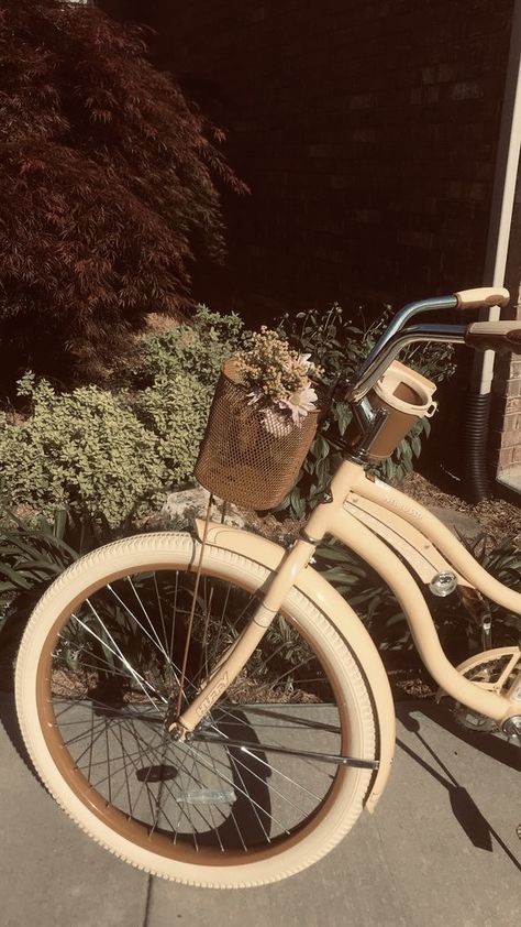 Bike Asthetic Picture, Bycicles Aesthetic, Bike Aesthetic Vintage, Vintage Bike Aesthetic, Bikes Aesthetic, Brown Bicycle, Bicycle Aesthetic, Hibiscus Bouquet, Aesthetic Bike