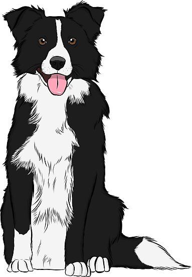 Border Collie Art, White Border Collie, Sticker Illustration, Paint Your Pet, Border Collie Puppies, Puppy Art, 강아지 그림, Border Collie Dog, Poster Illustration