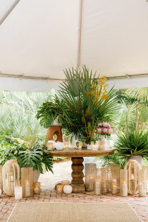 Colorful Tropical Wedding, Buffet Setup, Wedding Plate Setting, Tropical Paradise Beach, Naples Wedding, Safari Wedding, Palm Wedding, Dream Beach Wedding, Boho Tropical