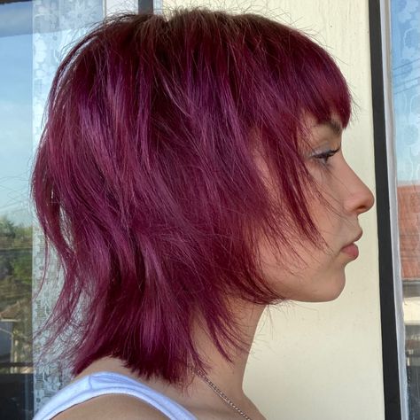 Wolfcut Burgundy Hair, Red And Purple Hair Short, Alt Hair Color Ideas For Short Hair, Grape Color Hair, Punk Wolfcut, Plum Hair Short, Fall Vivid Hair Color Short Hair, Dark Pink Short Hair, Dark Red Burgundy Hair