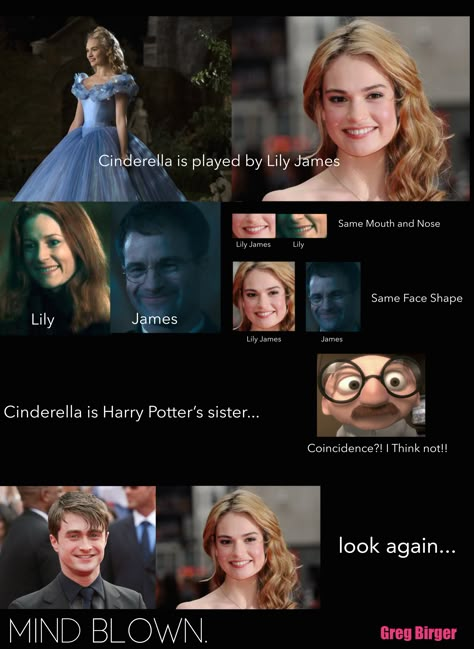 Cinderella Lily James, Funny Harry Potter Jokes, Harry Potter Feels, Harry Potter Puns, Harry Potter Comics, Harry Potter Headcannons, Time Traveler, Harry Potter 2, Harry Pottah