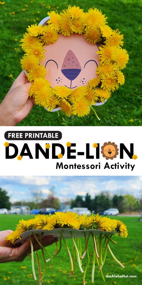 Fun todder and preschool activity with your kids that helps them practice fine motor skills. Take your kids out for a nature walk and pick dandelions to complete the lions mane. Great activity for prechool kids who want to go to the park for a fieldtrip. The dande-lion print is free to download. Add it to your montesorri lesson plans and let kids be creative with this DIY craft activity. #dandelion #naturewalk #natureactivity #preschoolactivity #toddleractivity #montessori #freeprintables Montessori Activity, Nature Craft, Daycare Activities, Toddler Art, Toddler Learning Activities, Toddler Fun, Nature Activities, Montessori Activities, Nature Crafts