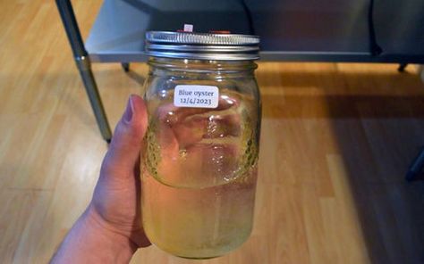 How to Make Liquid Culture: A Step-by-Step Guide for Mushroom Growers Liquid Culture, Mushroom Species, Mushroom Kits, Mushroom Cultivation, Canning Jars, Step Guide, Level Up, Step By Step, Stuffed Mushrooms