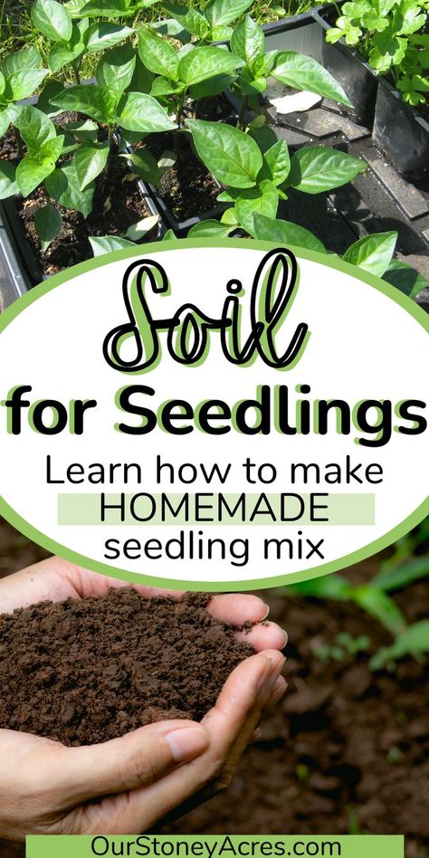 Seed Starters Diy, Diy Seed Starter, How To Save Vegetable Seeds, Seed Starting Soil Recipe, Self Watering Seed Starter Diy, Diy Seed Starting Soil, Diy Seed Planting Tool, Best Soil For Seed Starting, Soil Blocking Seed Starting