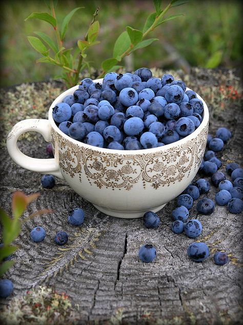 "My kind of tea party!" by Blondieyooper, via Flickr Color Splash Photography, Splash Photography, Coffee Cake, Fruits And Veggies, A Bowl, Blueberries, Fruits And Vegetables, A Tree, Fresh Fruit