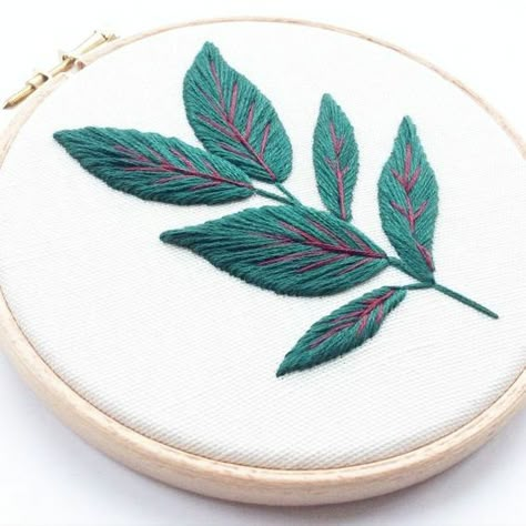 Plant Embroidery, Rubber Plant, Hand Embroidery Flowers, Embroidery On Clothes, Cute Embroidery, Hand Embroidery Art, Hand Embroidery Stitches, Modern Embroidery, Embroidery Hoop Art