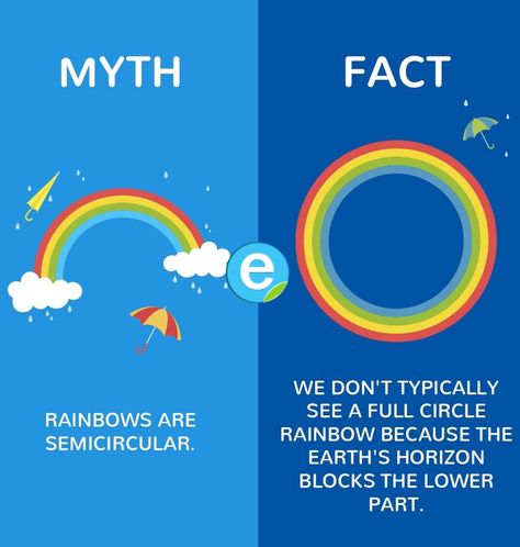 Myth Vs Truth, Knowledgeable Facts, Myth And Fact, Rainbow Facts, Quotes Knowledge, Myth Vs Fact, Gk Facts, Facts About Earth, Fun Facts Mind Blown