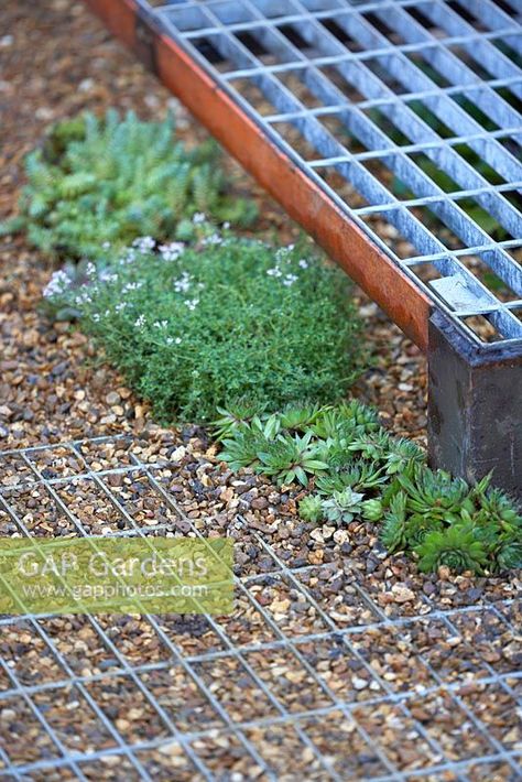 Raised Walkways Paths, Raised Walkway, House Garden Design, Metal Deck, Walkways Paths, Garden Paving, Garden Steps, Landscape Elements, Plant Photography