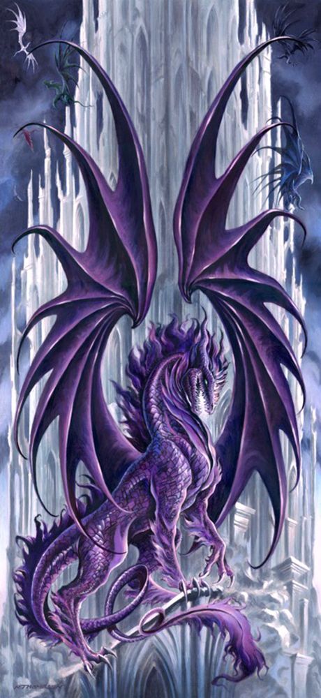 "Draconis Nox" par Ruth Thompson Yin Yang Tattoos, Dragon's Lair, Purple Dragon, Cool Dragons, Fairy Dragon, Dragon Tattoo Designs, Beautiful Dragon, Dragon Pictures, Dragon Artwork