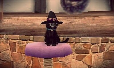 black cat wearing a witch hat Halloween Black Cats, Cats Black, Halloween Black, A Witch, Witch Hat, Black Cats, Black Cat, Novelty Lamp, Witch