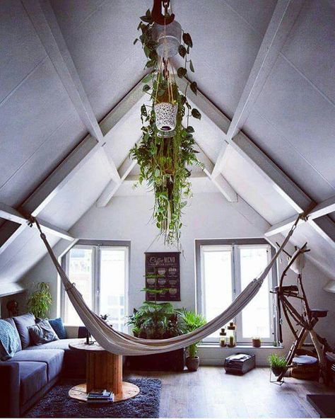 Attic office/ work out space/ chill space, with hammock and plants! Indoor Hammock Ideas, Open Attic, Hammock Ideas, Wizard Tower, Chill Space, Chill Out Room, Indoor Hammock Chair, Attic Office, Out Space