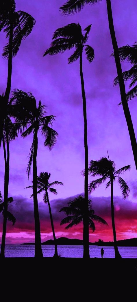 Neon Palm Tree Wallpaper, 4k Iphone Wallpaper Aesthetic, Purple Sunset Painting, Pink And Purple Sunset, Glow Wallpaper, Purple Landscape, Purple Aesthetics, Glitch Wallpaper, Purple Vibe