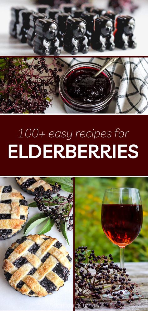 Echinacea Recipes, Elderberry Drink Recipes, Elderberry Popsicles, Whimsical Recipes, Elderflower Recipes, Cashew Dip, Recipes For Desserts, Elderberry Benefits, Elderberry Plant