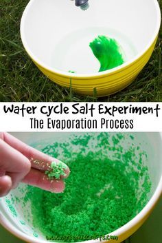 Stem Water Cycle Activities, Evaporation Experiment For Kids, Water Cycle Experiments For Kids, Salt Water Experiment, Evaporation Experiment, Salt Experiment, Water Cycle Craft, Water Cycle Experiment, Water Cycle Project