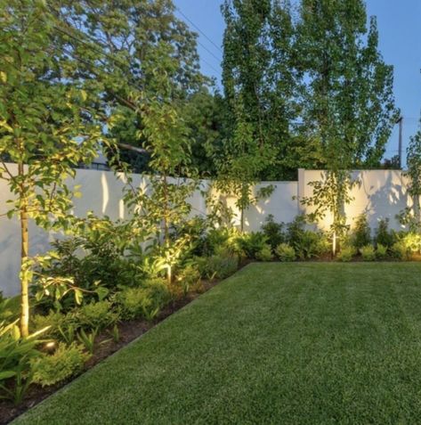 Backyard Lawn Design, Backyard Trees Along Fence, Backyard Plants Along Fence, Front Of The House Landscaping Ideas, Landscaping In Front Of House, Front Yard Tree Landscaping, Backyard Garden Inspiration, Garden Lighting Ideas, Landscaping Along Fence