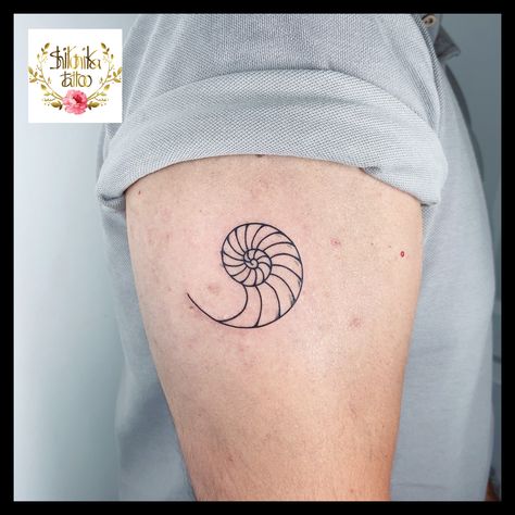 Nautilus Tattoo, Fibonacci Tattoo, Spiral Tattoos, Shell Tattoos, Nautilus, Geometric Tattoo, Art Tattoo, Tatting, Tattoos