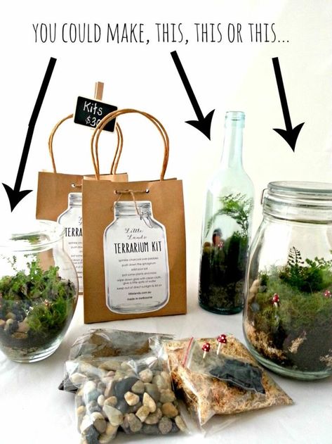 Terrarium Kit Gift, Planting Party, Terrariums Diy, Wall Terrarium, Terrarium Workshop, Build A Terrarium, Terrarium Gifts, Diy Terrarium Kit, Terrarium Kit